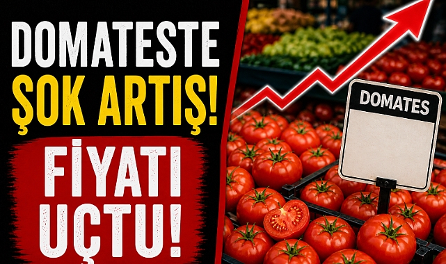 Antalya'da domateste şok artış! Miktar çakıldı, fiyat Uçtu!