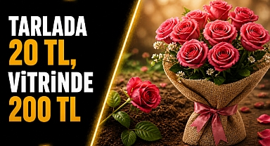 Antalya’da gül fiyatları uçurum yarattı! Tarlada 20 TL, vitrinde 200 TL! 