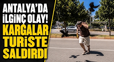 Antalya'da ilginç olay! Kargalar turisti hedef aldı