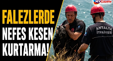 Antalya'da kedinin peşinden koşan köpek falezlerde mahsur kaldı!