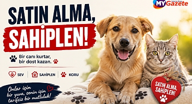 Antalya’da yüzlerce can dost sıcak yuva bekliyor!