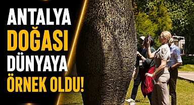 Antalya doğası dünyaya örnek oldu! 33 ülkeden gelen heyet hayran kaldı