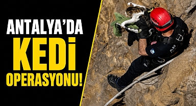 Antalya Muratpaşa'da bir can için seferber oldular! Falezlerdeki kedi kurtarıldı