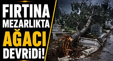 Antalya Muratpaşa'yı fırtına vurdu, mezarlıkta ağaç devrildi!