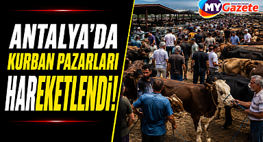 Antalya Muratpaşa'da kurban pazarları hareketlendi!