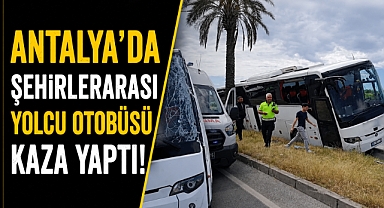 Antalya yolunda korku dolu kaza! Otobüs palmiyeye çarptı