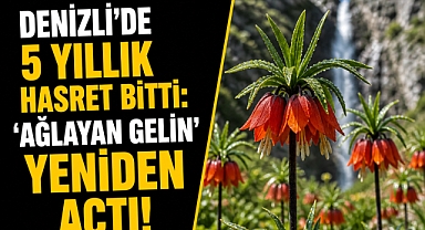 DENİZLİ’DE 5 YILLIK HASRET BİTTİ: ‘AĞLAYAN GELİN’ YENİDEN ARZ-I ENDAM ETTİ!