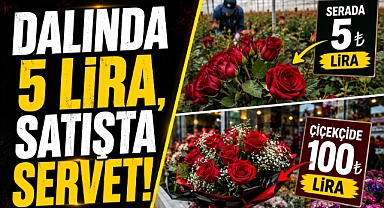 Gülün Fiyatı Dudak Uçuklattı!