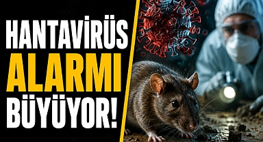 Kemirgenlerden gelen sessiz tehdit! Hantavirüs alarmı büyüyor
