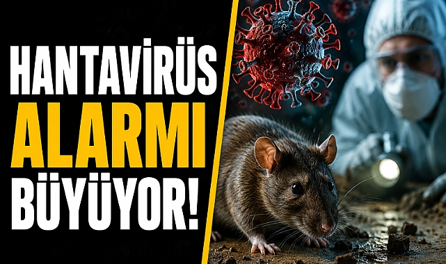 Kemirgenlerden gelen sessiz tehdit! Hantavirüs alarmı büyüyor