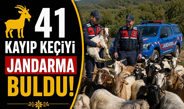 Kumluca'da jandarmanın hızlı çalışmasıyla kayıp 41 keçi bulundu!