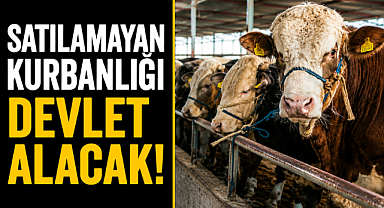 Kurban pazarında hayvanı kalan üreticiye devlet desteği! ESK devreye giriyor