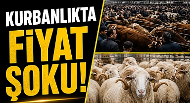 Kurbanlıkta fiyat şoku! 25 bin liradan başlıyor