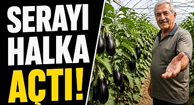 PATLICANLAR DALINDA KALMASIN DİYE SERAYI HALKA AÇTI!