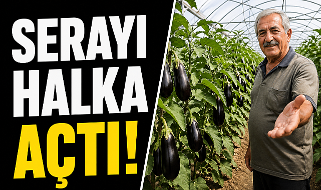 PATLICANLAR DALINDA KALMASIN DİYE SERAYI HALKA AÇTI!
