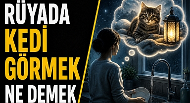 Rüyada kedi görmek....