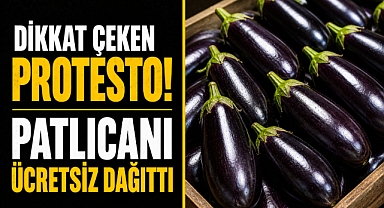 Tarladan bedava dağıttı! Üretici isyan etti