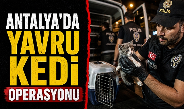 Tramvayın altında can pazarı! Antalya’da yavru kedi için seferber oldular