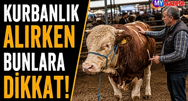 Uzmanlardan kritik uyarı: Kurbanlık seçiminde dikkat edilmesi gerekenler