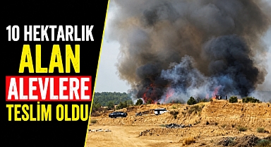 Antalya Aksu’daki orman yangını kontrol altına alındı! 10 hektar alan zarar gördü