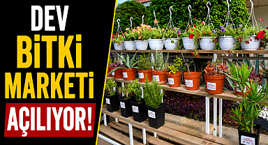 Antalya'da bahçe tutkunlarına müjde! Dokumapark'ta dev bitki marketi açılıyor