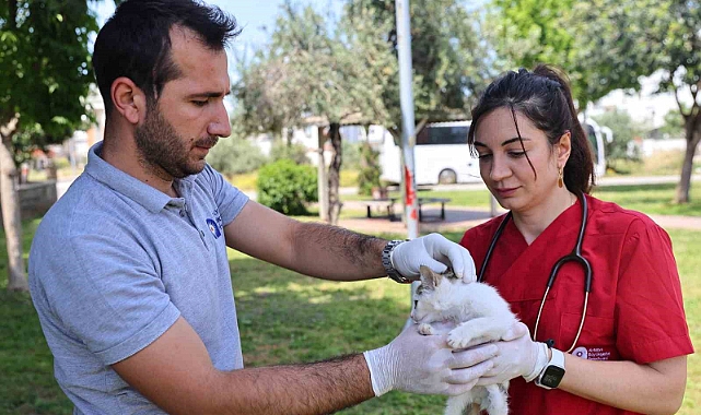 Antalya'da can dostlara acil destek! Hayvan ambulansı 7/24 görev başında