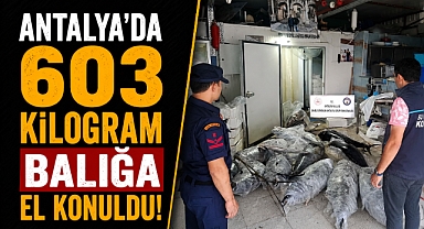 Antalya'da depoya baskın! Yasaklı balıklara el konuldu