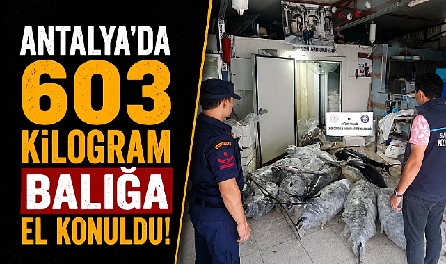 Antalya'da depoya baskın! Yasaklı balıklara el konuldu