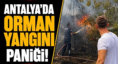 Antalya'da orman yangını paniği! Ekipler alevleri büyümeden durdurdu