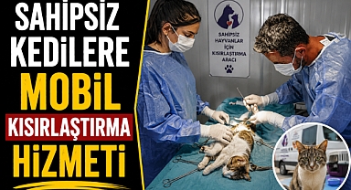 Antalya’da sahipsiz kediler için mobil kısırlaştırma dönemi başladı