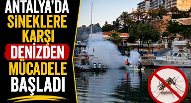 Antalya’da sineklere karşı denizden mücadele başladı