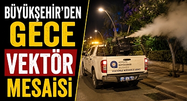 Antalya'da sivrisinek seferberliği! Büyükşehir 19 ilçede gece gündüz sahada