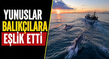 Antalya'da yunuslar balıkçı teknesine eşlik etti