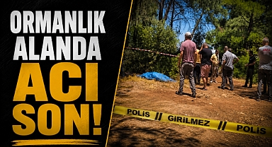 Antalya Konyaaltın’da ormanlık alanda bir kişinin cansız bedeni bulundu