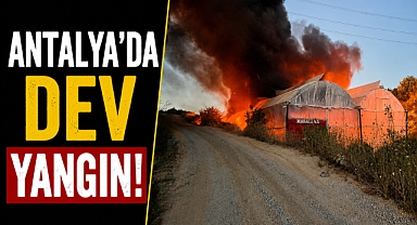 Antalya Manavgat'ta dev yangın! Motosiklet parçalarının bulunduğu sera kül oldu