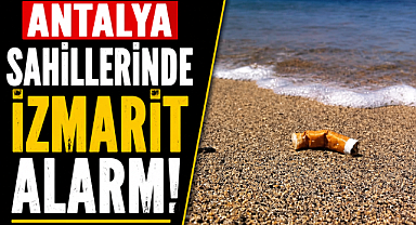 Antalya sahillerinde alarm! Metrekarede yüzlerce sigara izmariti