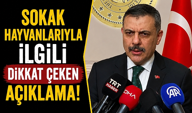 Bakan Mustafa Çiftçi: Yıl sonuna kadar tüm sokak köpekleri toplanacak
