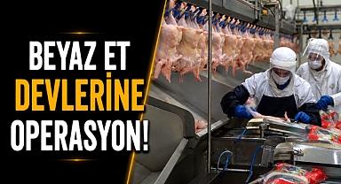 Beyaz et devlerine operasyon! 13 şirkete kayyum kararı