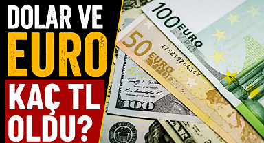 Dolar ve Euro kaç TL oldu? Döviz piyasalarında son durum