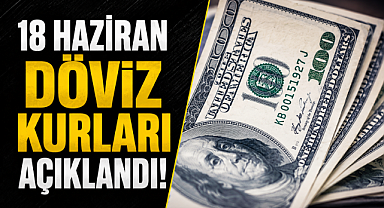Dövizde son durum! Dolar ve Euro güne yükselişle başladı