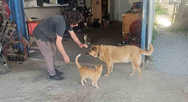 Gözleri görmeyen köpeğe 13 yıldır evladı gibi bakıyor
