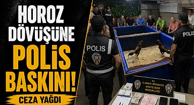 Horoz dövüşüne polis baskını! Çiftlik mühürlendi, ceza yağdı