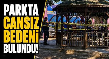 Sabah saatlerinde korkunç manzara! Kamelyada cansız bedeni bulundu