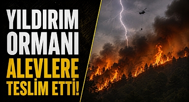 Yıldırım ormanı alevlere teslim etti! Gece yarısı seferberlik başlatıldı