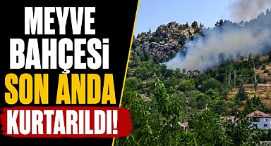 Antalya Alanya'da alevler yükseldi! Meyve bahçesi son anda kurtarıldı
