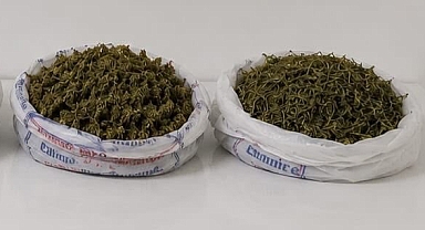 Antalya Alanya'da jandarmadan uyuşturucu operasyonu! Evde yaklaşık 2 kilo esrar ele geçirildi