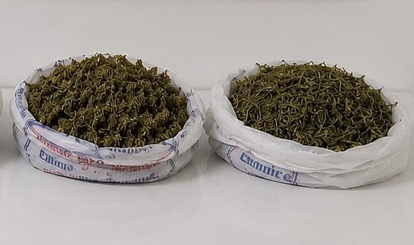 Antalya Alanya'da jandarmadan uyuşturucu operasyonu! Evde yaklaşık 2 kilo esrar ele geçirildi