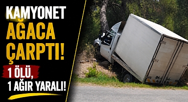Antalya Alanya’da kamyonet ağaca çarptı: 1 ölü, 1 ağır yaralı