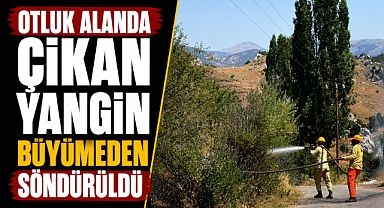 Antalya Alanya'da otluk alan alevlere teslim oldu! Facia son anda önledi