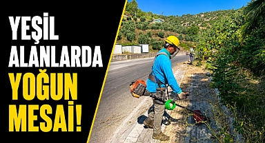 Antalya Alanya'da yangın riskine karşı harekete geçildi! Yeşil alanlarda yoğun mesai